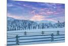 Wood Mount