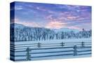 Stretched Canvas