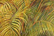 Tropical Light-Darrell Hill-Framed Giclee Print