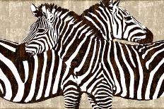 Zebras-Darren Davison-Mounted Art Print