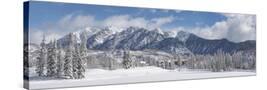 Stretched Canvas