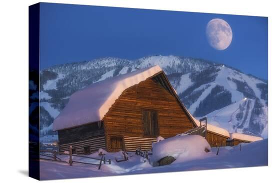 Stretched Canvas Print, , large