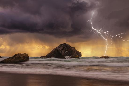 Premium Photographic Print, , large