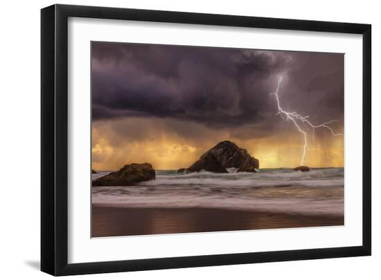 Premium Photographic Print, , large