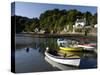 Dart Estuary at Dittisham, South Devon, England, United Kingdom, Europe-Rob Cousins-Stretched Canvas