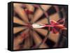 Dart in Bull's Eye on Dart Board-John James Wood-Framed Stretched Canvas