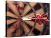 Dart in Bull's Eye on Dart Board-John James Wood-Stretched Canvas