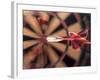 Dart in Bull's Eye on Dart Board-John James Wood-Framed Photographic Print