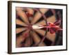 Dart in Bull's Eye on Dart Board-John James Wood-Framed Photographic Print