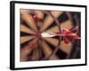 Dart in Bull's Eye on Dart Board-John James Wood-Framed Photographic Print