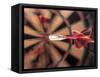 Dart in Bull's Eye on Dart Board-John James Wood-Framed Stretched Canvas