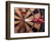 Dart in Bull's Eye on Dart Board-John James Wood-Framed Photographic Print