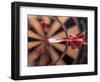 Dart in Bull's Eye on Dart Board-John James Wood-Framed Photographic Print