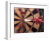 Dart in Bull's Eye on Dart Board-John James Wood-Framed Photographic Print