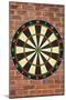 Dartboard Art Poster Print-null-Mounted Poster