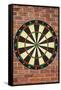 Dartboard Art Poster Print-null-Framed Stretched Canvas