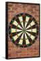 Dartboard Art Poster Print-null-Framed Poster