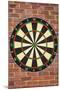 Dartboard Art Poster Print-null-Mounted Poster