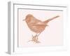 Dartford Warbler  2017  (digital)-Sarah Hough-Framed Giclee Print