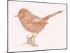 Dartford Warbler  2017  (digital)-Sarah Hough-Mounted Giclee Print