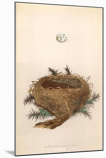 Dartford Warbler Egg and Nest-null-Mounted Art Print