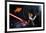 Darth Sushi-null-Framed Art Print