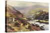 Dartmoor - Dartmeet-Ernest W Haslehust-Stretched Canvas