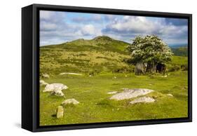 Dartmoor Landscape Near Fingle Bridge, Devon, England, United Kingdom, Europe-Matthew-Framed Stretched Canvas