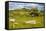 Dartmoor Landscape Near Fingle Bridge, Devon, England, United Kingdom, Europe-Matthew-Framed Stretched Canvas