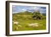 Dartmoor Landscape Near Fingle Bridge, Devon, England, United Kingdom, Europe-Matthew-Framed Photographic Print