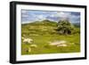 Dartmoor Landscape Near Fingle Bridge, Devon, England, United Kingdom, Europe-Matthew-Framed Photographic Print