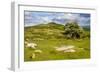 Dartmoor Landscape Near Fingle Bridge, Devon, England, United Kingdom, Europe-Matthew-Framed Photographic Print