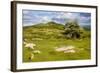 Dartmoor Landscape Near Fingle Bridge, Devon, England, United Kingdom, Europe-Matthew-Framed Photographic Print