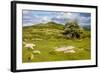 Dartmoor Landscape Near Fingle Bridge, Devon, England, United Kingdom, Europe-Matthew-Framed Photographic Print