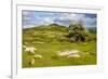 Dartmoor Landscape Near Fingle Bridge, Devon, England, United Kingdom, Europe-Matthew-Framed Photographic Print