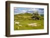 Dartmoor Landscape Near Fingle Bridge, Devon, England, United Kingdom, Europe-Matthew-Framed Photographic Print