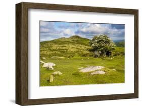 Dartmoor Landscape Near Fingle Bridge, Devon, England, United Kingdom, Europe-Matthew-Framed Photographic Print