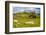 Dartmoor Landscape Near Fingle Bridge, Devon, England, United Kingdom, Europe-Matthew-Framed Photographic Print