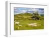 Dartmoor Landscape Near Fingle Bridge, Devon, England, United Kingdom, Europe-Matthew-Framed Photographic Print