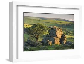 Dartmoor Moorland and Countryside in Summer Time, Saddle Tor, Dartmoor, Devon, England. July-Adam Burton-Framed Photographic Print