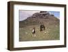 Dartmoor Ponies and Granite Tor, Kestor Rock, Dartmoor, Devon, 20th century-CM Dixon-Framed Photographic Print