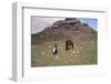 Dartmoor Ponies and Granite Tor, Kestor Rock, Dartmoor, Devon, 20th century-CM Dixon-Framed Photographic Print