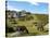 Dartmoor Ponies, Bonehill Rocks, Dartmoor National Park, Devon, England, United Kingdom, Europe-Jeremy Lightfoot-Stretched Canvas