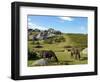 Dartmoor Ponies, Bonehill Rocks, Dartmoor National Park, Devon, England, United Kingdom, Europe-Jeremy Lightfoot-Framed Photographic Print