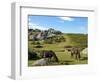 Dartmoor Ponies, Bonehill Rocks, Dartmoor National Park, Devon, England, United Kingdom, Europe-Jeremy Lightfoot-Framed Photographic Print