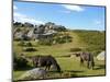 Dartmoor Ponies, Bonehill Rocks, Dartmoor National Park, Devon, England, United Kingdom, Europe-Jeremy Lightfoot-Mounted Photographic Print