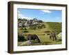 Dartmoor Ponies, Bonehill Rocks, Dartmoor National Park, Devon, England, United Kingdom, Europe-Jeremy Lightfoot-Framed Photographic Print