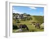 Dartmoor Ponies, Bonehill Rocks, Dartmoor National Park, Devon, England, United Kingdom, Europe-Jeremy Lightfoot-Framed Photographic Print