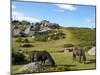 Dartmoor Ponies, Bonehill Rocks, Dartmoor National Park, Devon, England, United Kingdom, Europe-Jeremy Lightfoot-Mounted Photographic Print