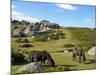 Dartmoor Ponies, Bonehill Rocks, Dartmoor National Park, Devon, England, United Kingdom, Europe-Jeremy Lightfoot-Mounted Photographic Print